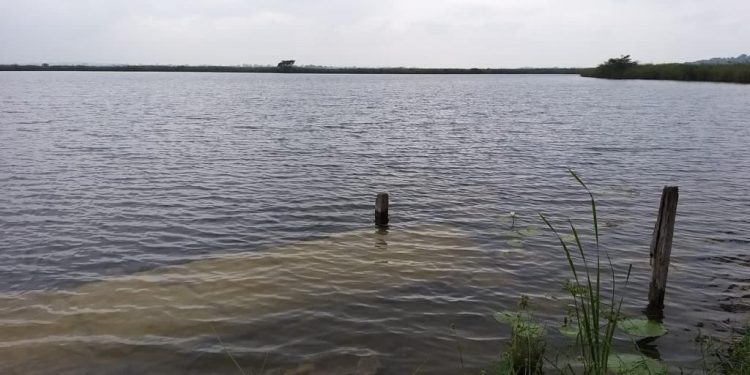 Continúan monitoreos en laguna El Tambo, Petén