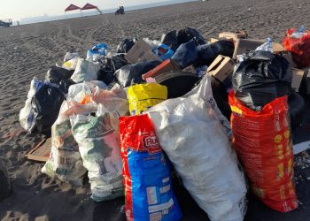 Recolectan 30 toneladas de desechos en playas del país