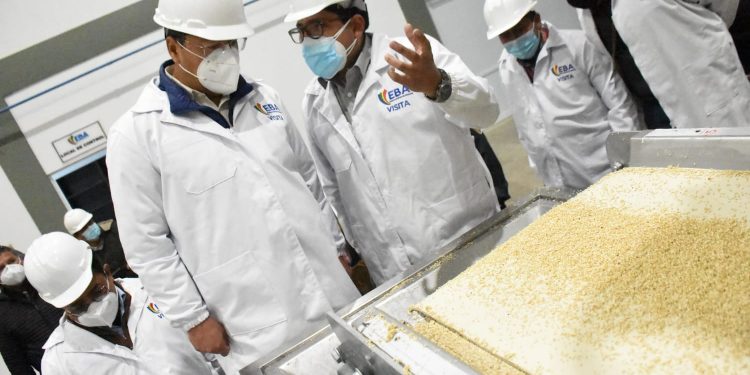 Gobierno boliviano inaugura planta para industrializar quinua