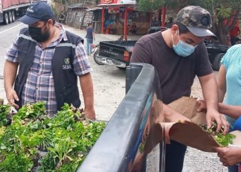 MAGA promueve huertos familiares en Morazán