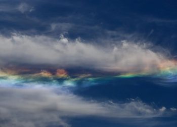 Últimos 7 años han sido los más cálidos desde que existen registros