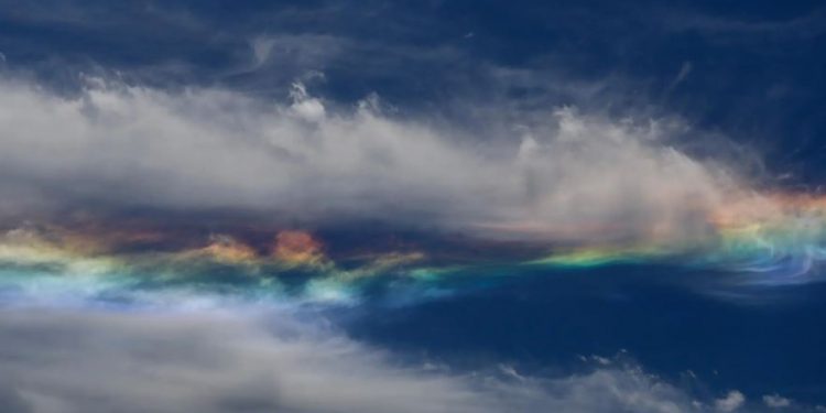 Últimos 7 años han sido los más cálidos desde que existen registros