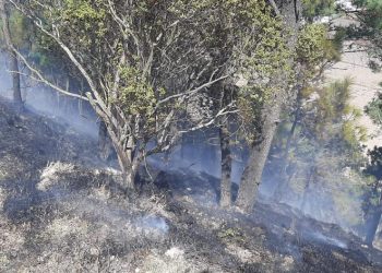Conred controla incendio forestal en Totonicapán