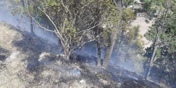 Conred controla incendio forestal en Totonicapán