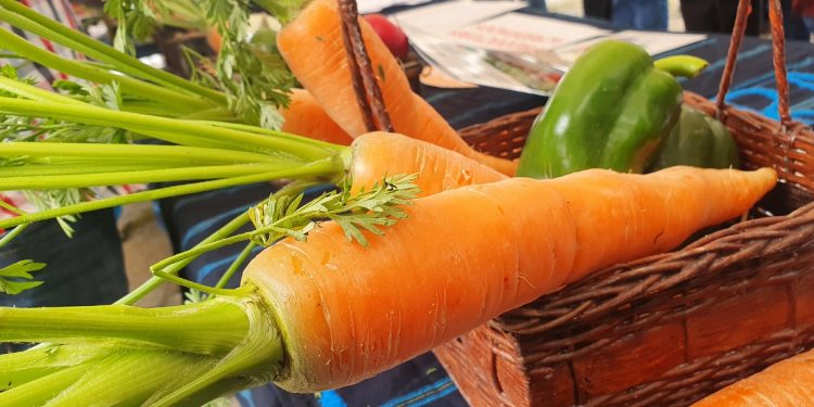 Cooperación estadounidense mantiene apoyo a proyectos del Gobierno en Huehuetenango