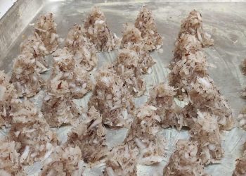 Casa de la cultura promueve gastronomía local en San Felipe