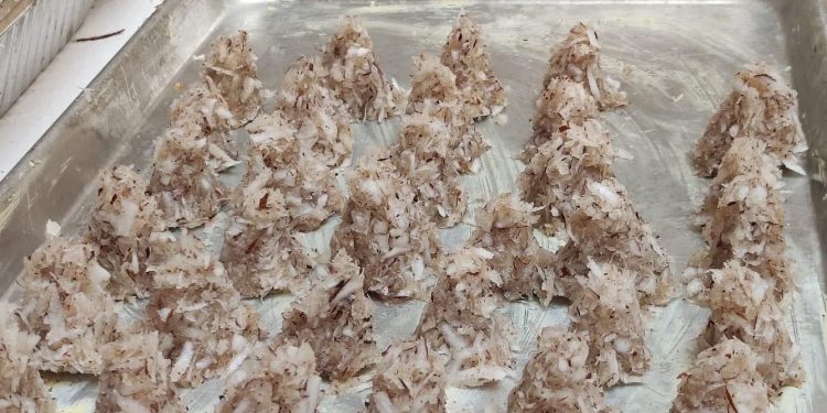 Casa de la cultura promueve gastronomía local en San Felipe