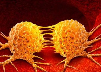 Científicos alemanes hallan el gen clave en el desarrollo de cáncer linfático