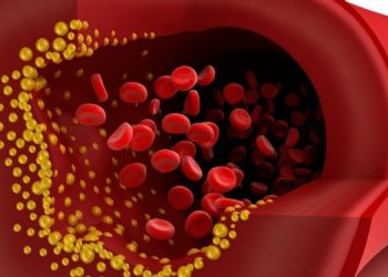 Descubren mecanismo molecular implicado en el transporte del colesterol