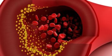 Descubren mecanismo molecular implicado en el transporte del colesterol