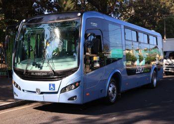 Pondrán en marcha plan piloto para línea 5 del Transmetro