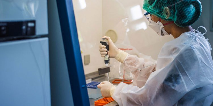 OMS emite recomendaciones sobre nuevas medicinas para tratar el COVID-19