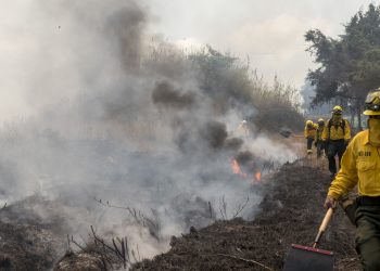 Petén refuerza acciones para la prevención y atención de incendios forestales