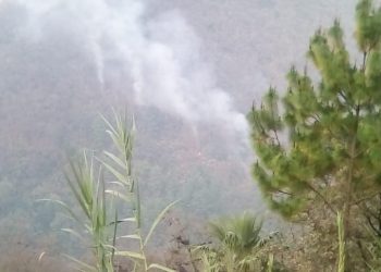 Alta Verapaz actualiza protocolo de respuesta ante incendios forestales