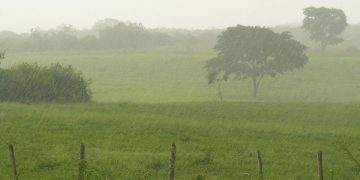 MAGA comparte análisis agroclimático, debido a las lluvias y frentes fríos