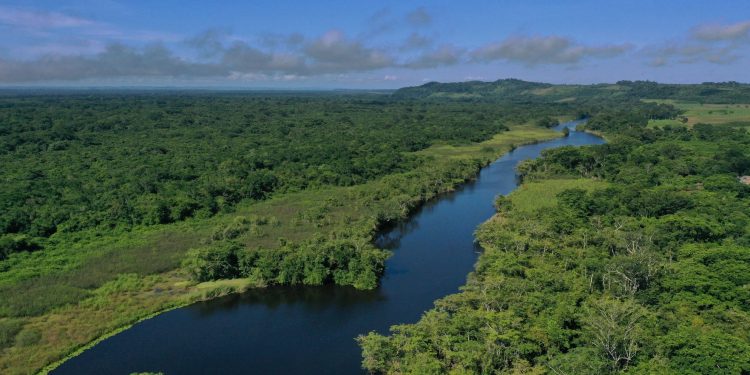 Presentan plan para protecciÃ³n y conservaciÃ³n de la Biosfera Maya