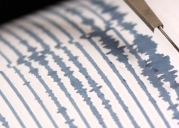 Insivumeh comparte detalles de la actividad sísmica en el territorio