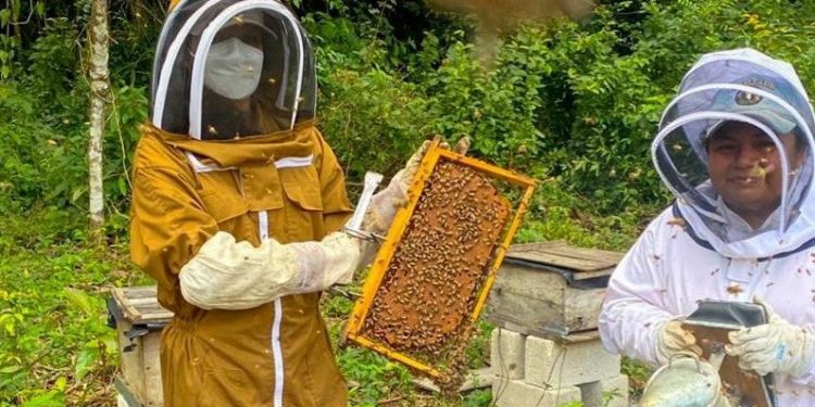 MAGA brinda asistencia técnica productores de Petén