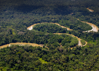 Noruega destinará 3.7 millones de dólares para reforestación en la Amazonía