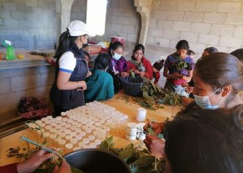 MAGA capacita a mujeres en Santa Bárbara, Huehuetenango