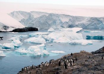 Australia invierte 577 millones de dólares en la vigilancia de la Antártida