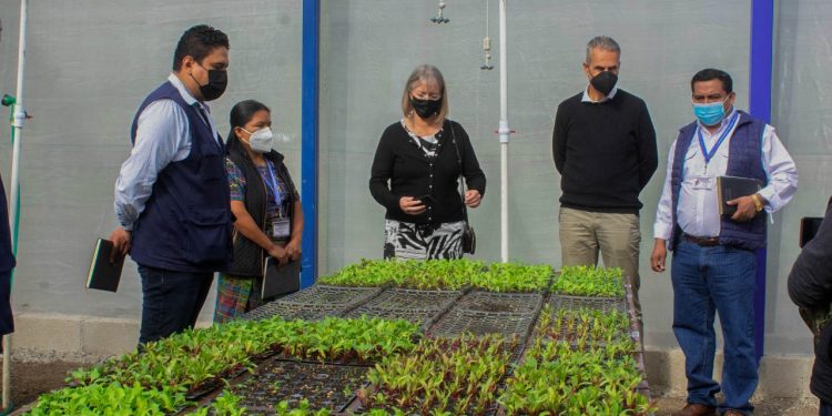 Exponen acciones del Centro para la Adaptación al Cambio Climático en Baja Verapaz