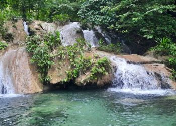 Mantienen acciones para proteger la reserva Cerro San Gil