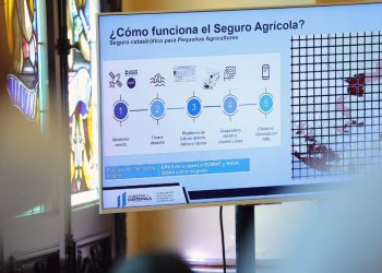El MAGA da a conocer los procesos para optar el Seguro Agrícola.