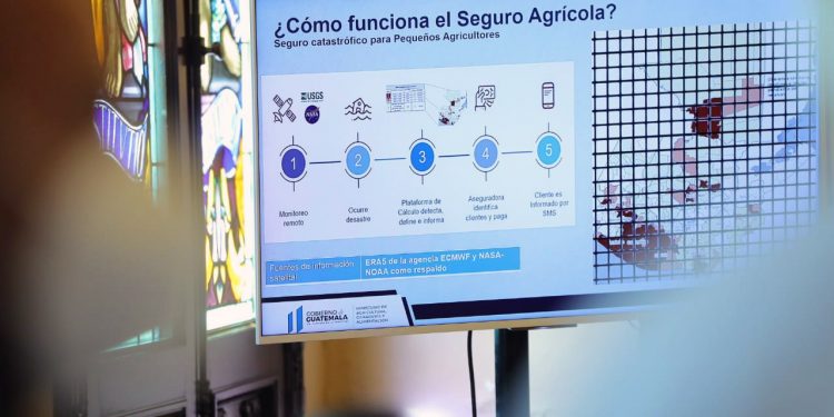 El MAGA da a conocer los procesos para optar el Seguro Agrícola.