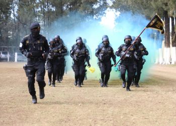 Se suman 82 elementos a la División de las Fuerzas Especiales