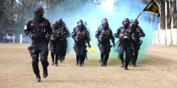 Se suman 82 elementos a la División de las Fuerzas Especiales