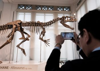 Encuentran primeras evidencias de infección respiratoria en dinosaurios