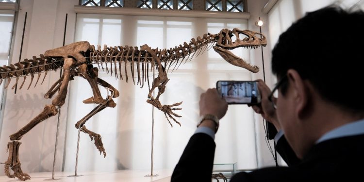 Encuentran primeras evidencias de infección respiratoria en dinosaurios