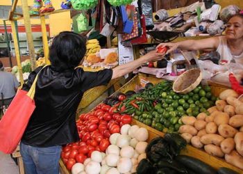 Estudio: “Se necesita más que comer verduras para evitar enfermedades cardiovasculares”