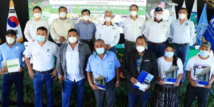 Alianza estratégica impulsa desarrollo agroforestal en las verapaces