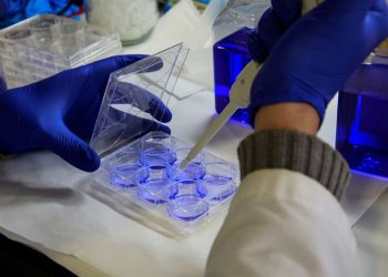 Crean novedosa técnica de cribado de fármacos para metástasis cerebral