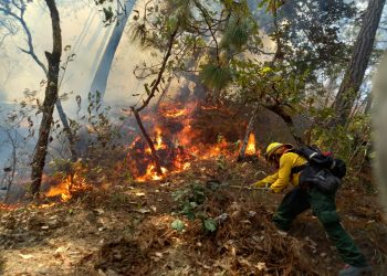 Los bomberos forestales continúan efectuando las labores en diversos sectores del país para controlar los incendios.