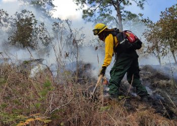 Los cuerpos de socorro han efectuado labores para mitigar los incendios forestales.