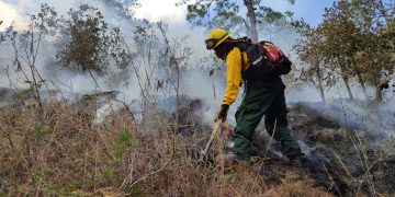 Los cuerpos de socorro han efectuado labores para mitigar los incendios forestales.