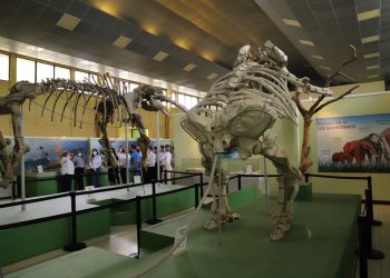 Anuncian modernización de museo de paleontología y arqueología en Zacapa