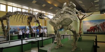 Anuncian modernización de museo de paleontología y arqueología en Zacapa