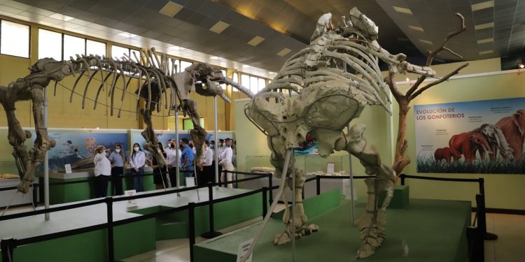Anuncian modernización de museo de paleontología y arqueología en Zacapa