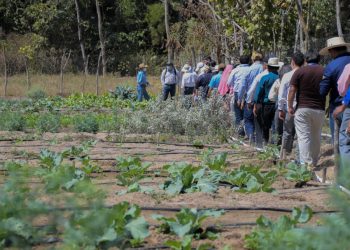 Proyectos de adaptación al cambio climático favorecen a vecinos de San Miguel Chicaj