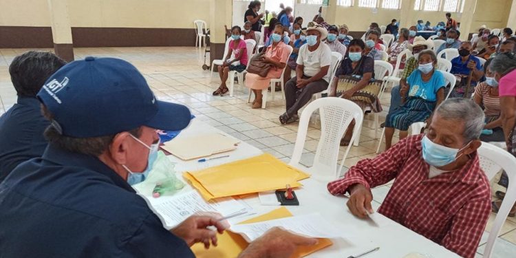 Más adultos mayores se benefician con aporte económico