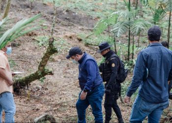 Autoridades dan seguimiento a denuncia por usurpación y tala ilegal en área protegida de Cobán