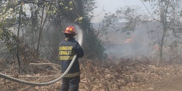 Conred e Inab coordinan acciones por temporada de incendios forestales