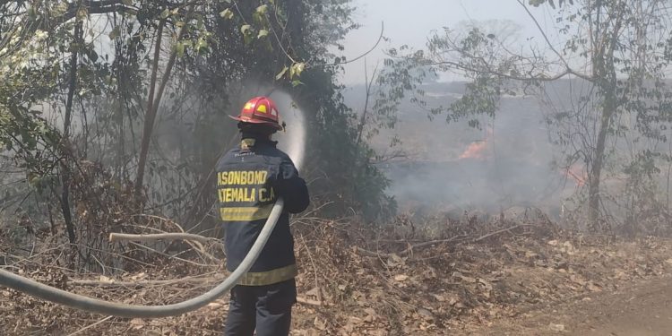 Conred e Inab coordinan acciones por temporada de incendios forestales