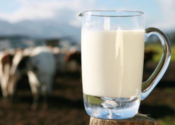 MAGA apoya a productores de leche y sus derivados