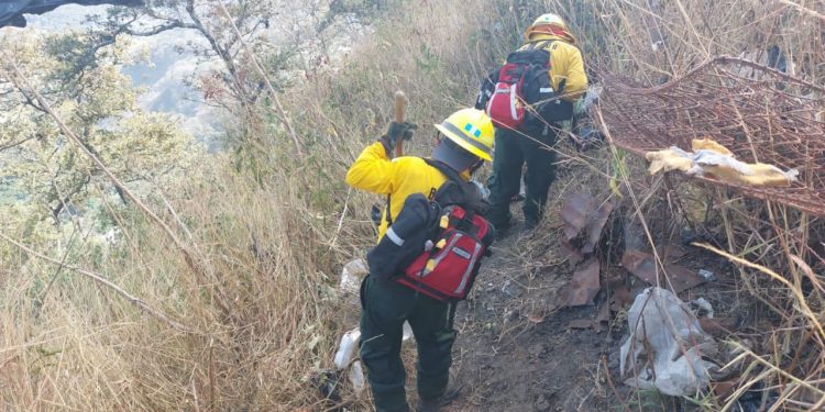 Brigadas de respuesta a incendios mantienen acciones en el territorio