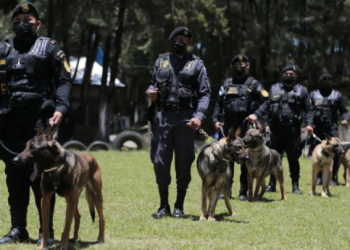 Instructores y guías caninos fortalecen capacidades en detección de objetos ilícitos